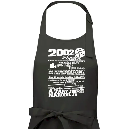 2002 v kostce