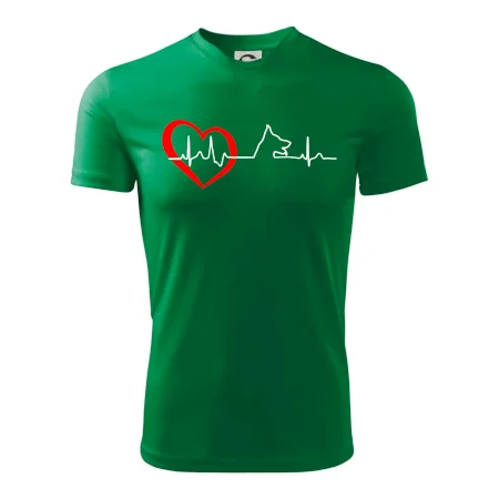 Německý ovčák ekg