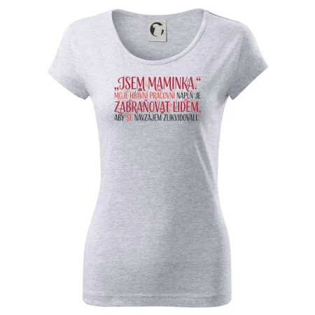 Moje hlavní pracovní náplň je zabraňovat lidem
