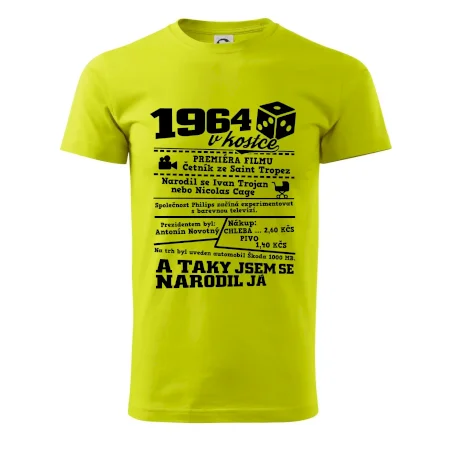 1964 v kostce