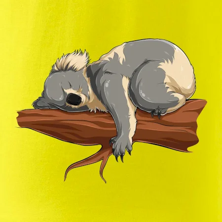 Koala na větvi