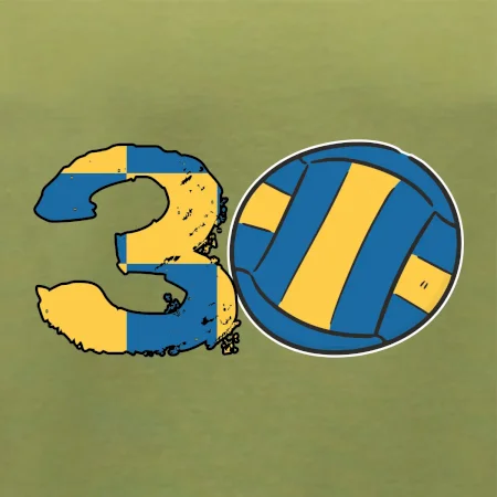 Volejbal kulaté narozeniny 30