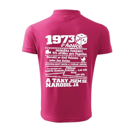 1973 v kostce