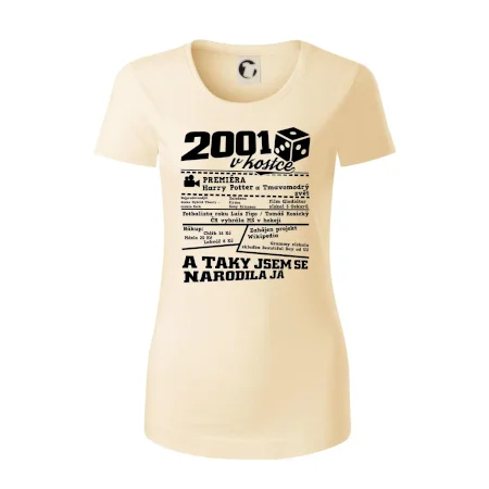 2001 v kostce