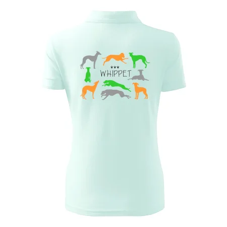 Whippet barevný