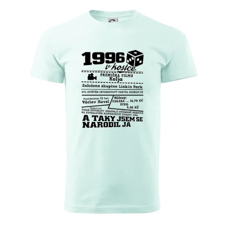 1996 v kostce
