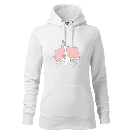 Učení na státnice kočka