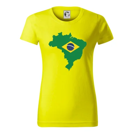 Brazílie vlajka v mapě