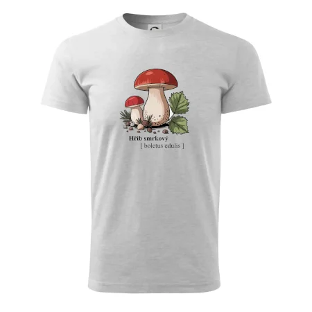 Hřib smrkový - Boletus edulis kreslený