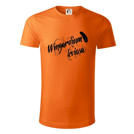 Harry - Wingardium Leviosa