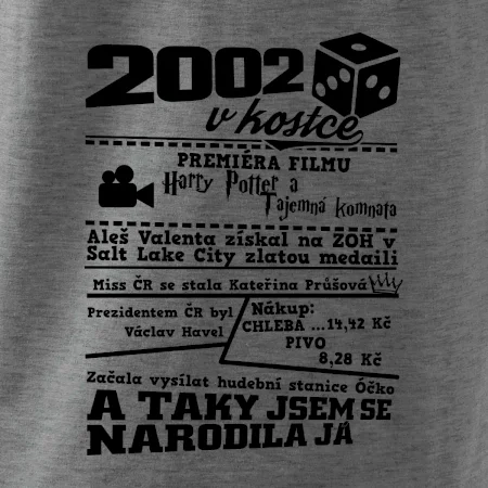 2002 v kostce