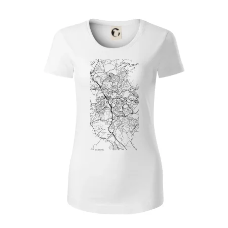 Černobílá mapa Liberec