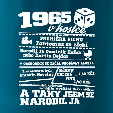 1965 v kostce