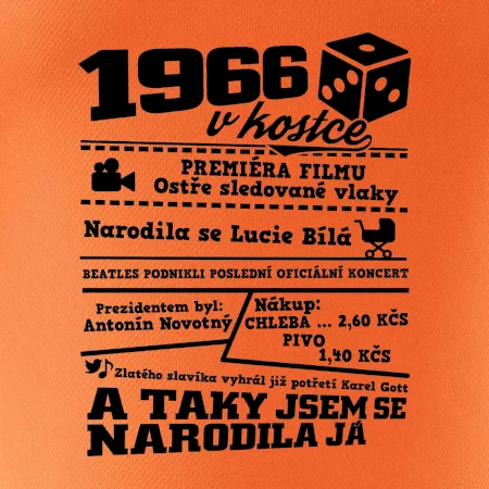 1966 v kostce