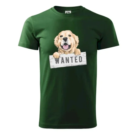 Zlatý retriever - štěně wanted