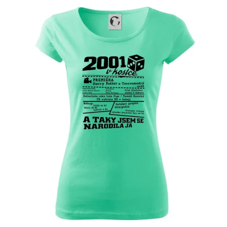 2001 v kostce