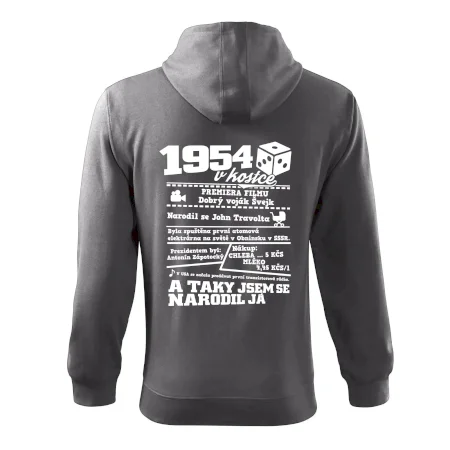 1954 v kostce