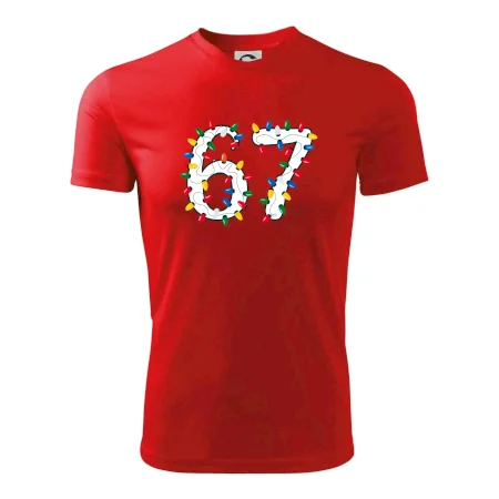 67 vánoční osvětlení