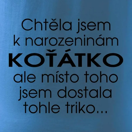 Chtěla jsem dostat k narozeninám koťátko