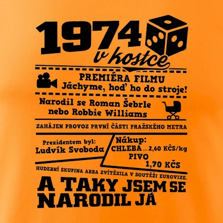1974 v kostce
