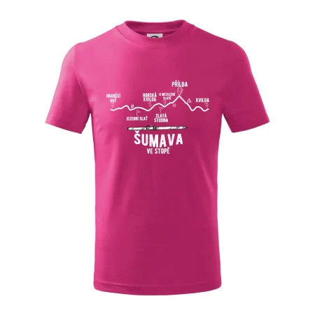 Šumava ve stopě
