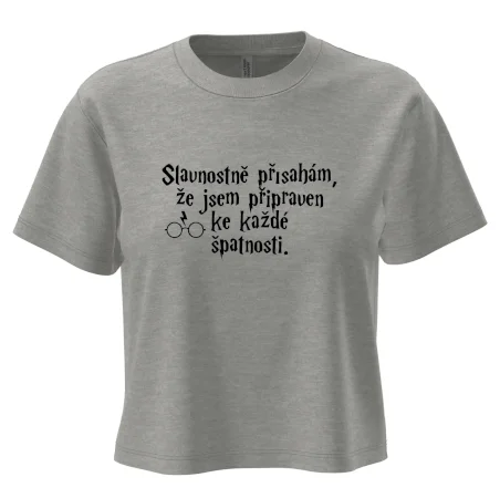 Slavnostně přísahám, že jsem připraven ke každé špatnosti