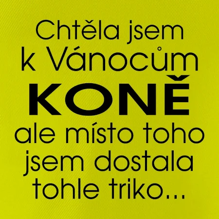 Chtěla jsem k Vánocům koně