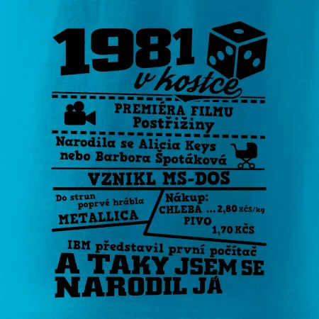 1981 v kostce