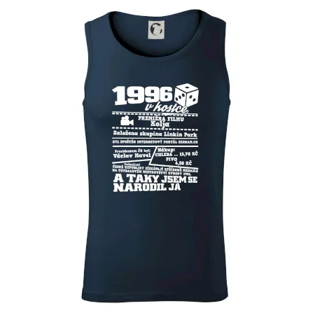 1996 v kostce