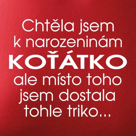 Chtěla jsem dostat k narozeninám koťátko