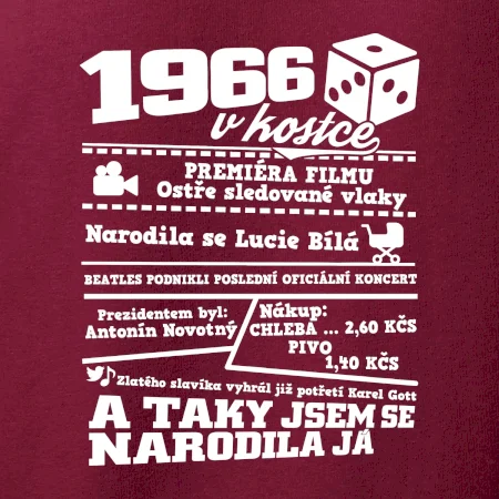 1966 v kostce