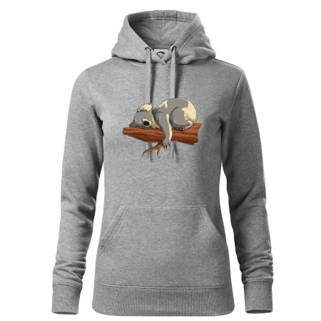Koala na větvi