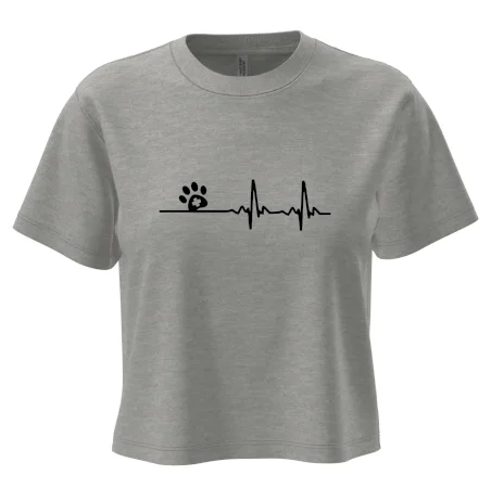 Veterinář EKG