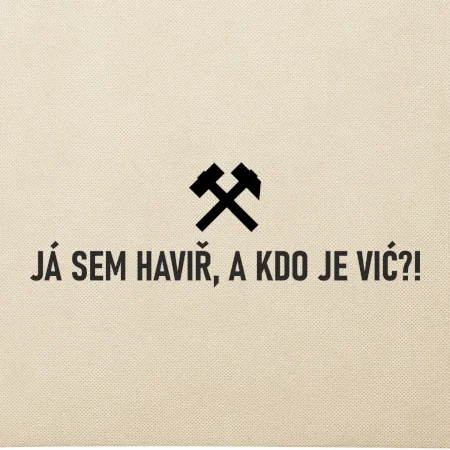 JÁ SEM HAVIŘ, A KDO JE VIĆ?!﻿