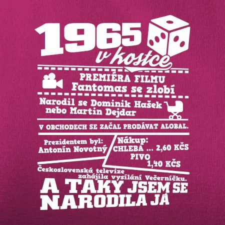 1965 v kostce