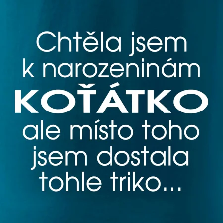 Chtěla jsem dostat k narozeninám koťátko