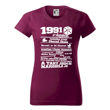 1991 v kostce