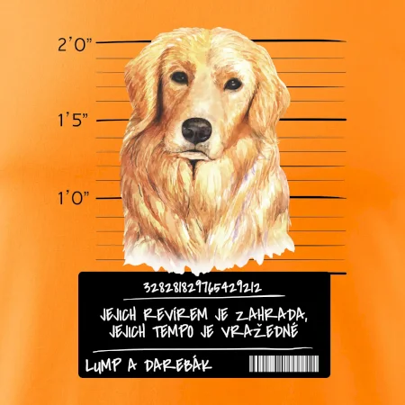 Lump a darebák zlatý retrívr