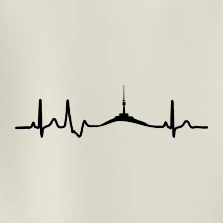 Ekg Jeseníky