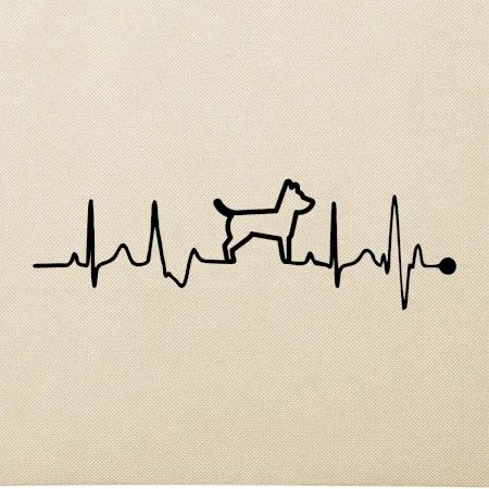 Ekg psí obrys