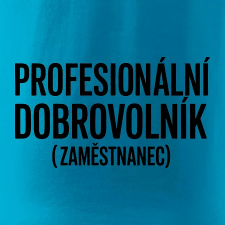 PROFESIONÁLNÍ DOBROVOLNÍK (zaměstnanec)