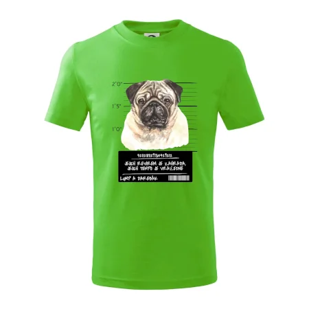 Lump a darebák mopsík