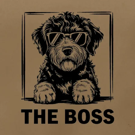 Lagotto romagnolo the boss