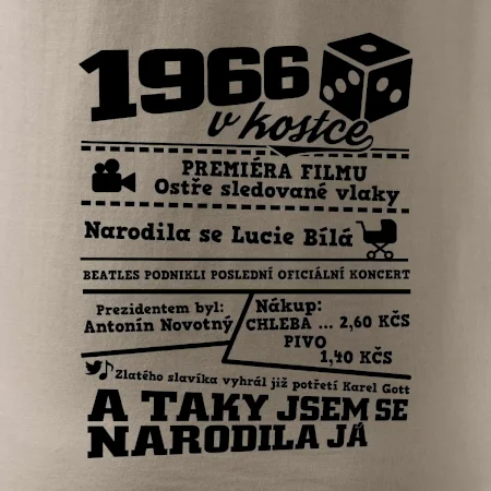 1966 v kostce