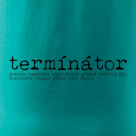 Čeština 2.0 - termínátor