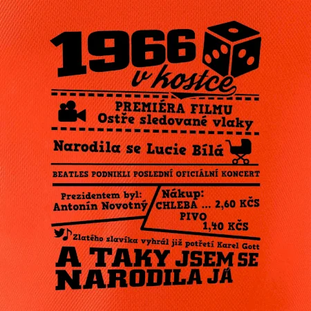 1966 v kostce