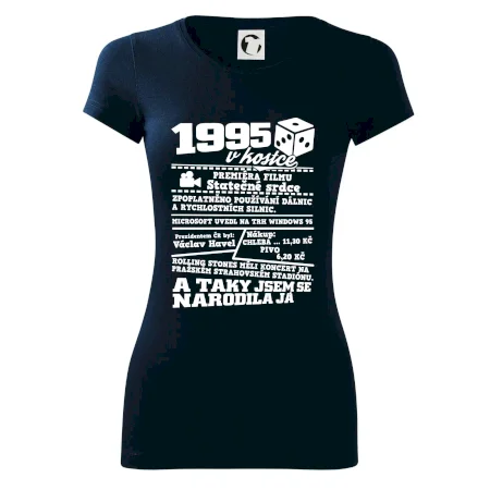 1995 v kostce