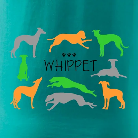 Whippet barevný