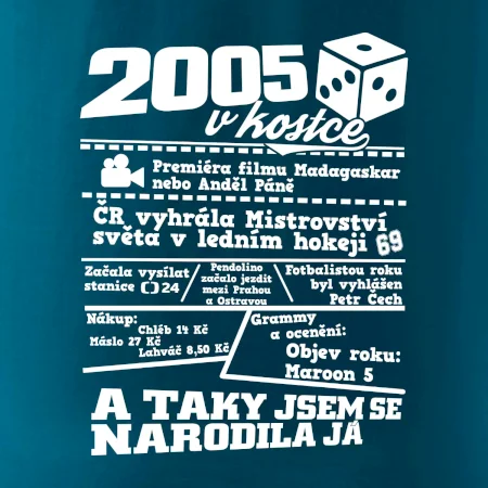 2005 v kostce
