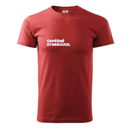 ÚSPĚŠNĚ SYNERGUIJI.